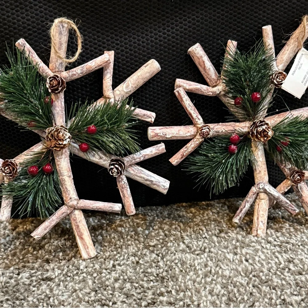 Pier 1 Rustic Twig Star & Snowflake Ornaments Michaels Fruit Pick Set of 5